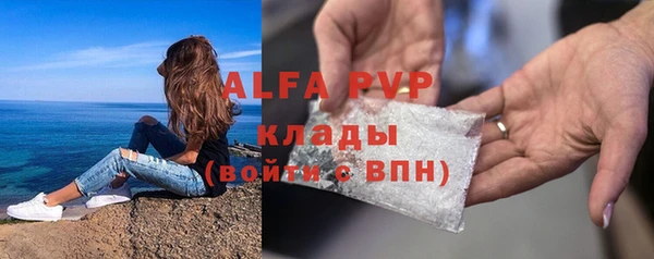 СК Гусев