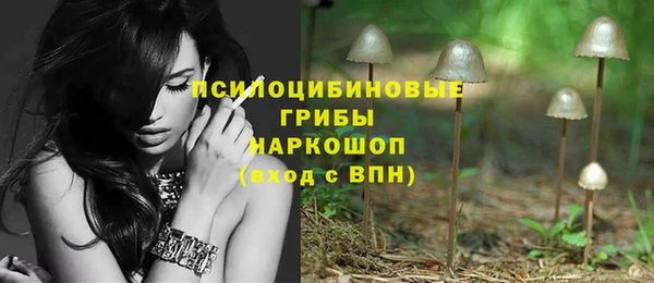 скорость Алзамай