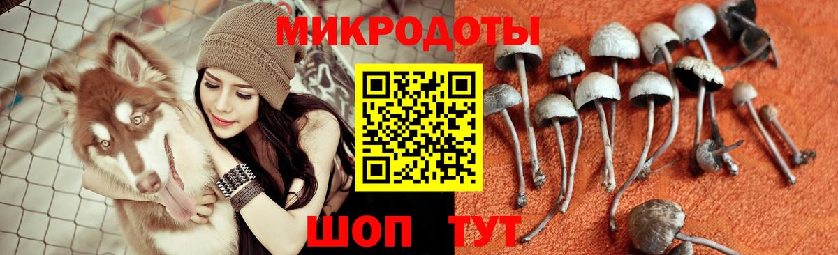 Псилоцибиновые грибы ЛСД  Вход с VPN  Псилоцибиновые грибы Magic Shrooms  Шуя 