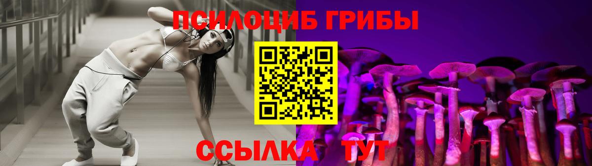Псилоцибиновые грибы Psilocybine cubensis Шуя